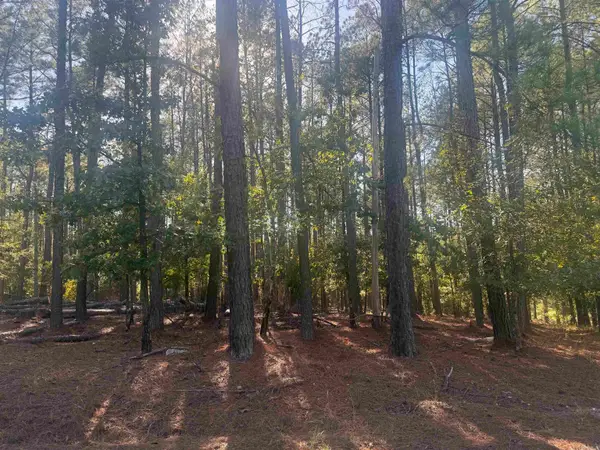19 Vigoroso Lane, Hot Springs Village, AR 71909