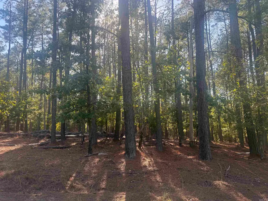 19 Vigoroso Lane, Hot Springs Village, AR 71909 - #3