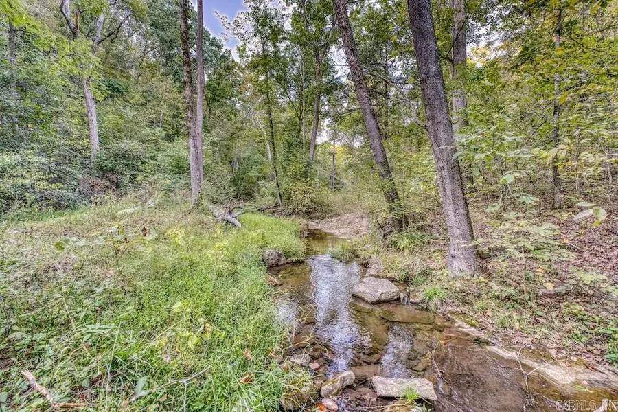 525 Hodge Spring Road, Norfork, AR 72658 - #2