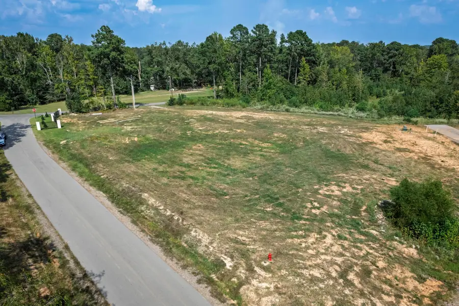 113 Shepherd Loop Drive, Arkadelphia, AR 71923 - #3
