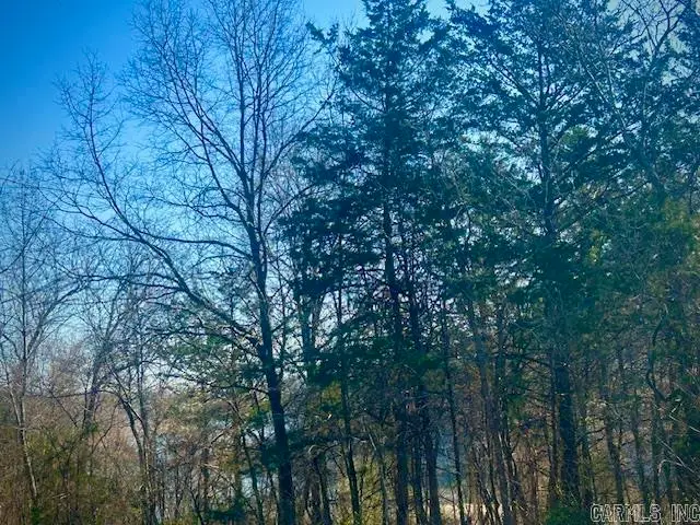 0 Cr 8060, Yellville, AR 72687 - #1