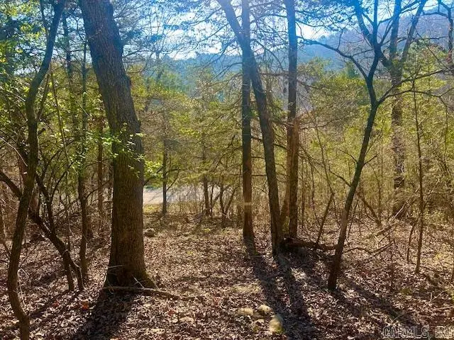 0 Cr 8060, Yellville, AR 72687 - #3