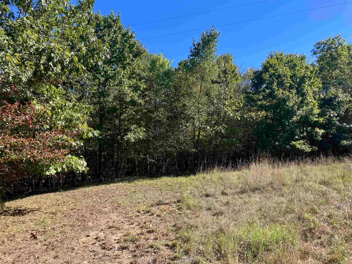 TBD Tract 5 Polk Road 78 Road, Mena, AR 71953 - #1