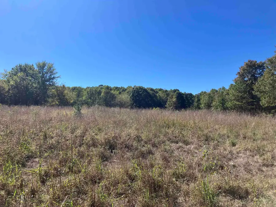 TBD Tract 5 Polk Road 78 Road, Mena, AR 71953 - #3