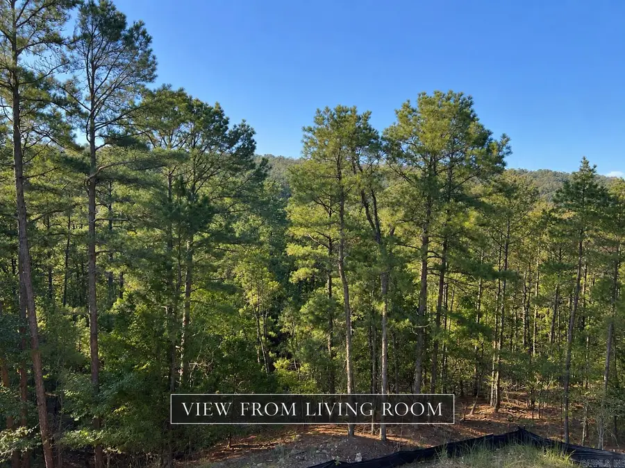 177 Ridgeview Trail, Maumelle, AR 72022 - #2