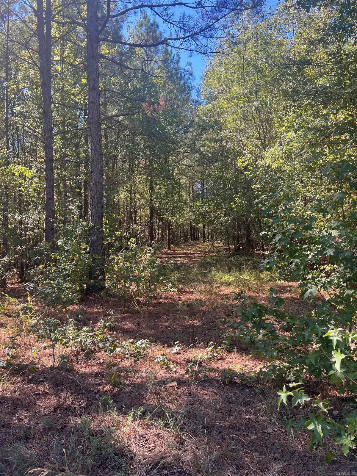 xx tract 11 Castle, Glenwood, AR 71943 - #1