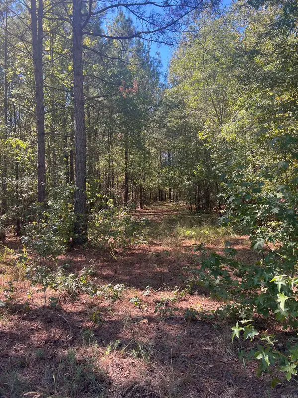 xx tract 11 Castle, Glenwood, AR 71943