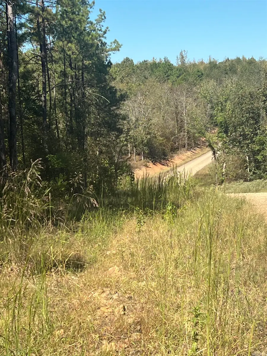 xx tract 11 Castle, Glenwood, AR 71943 - #3