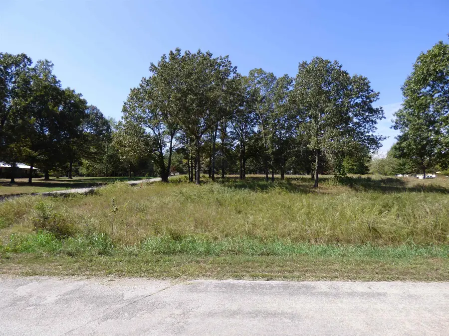 Wanda Circle, Highland, AR 72542 - #2