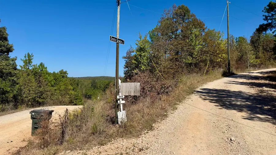 265 Emily Grace Lane, Mountain Pine, AR 71956 - #2