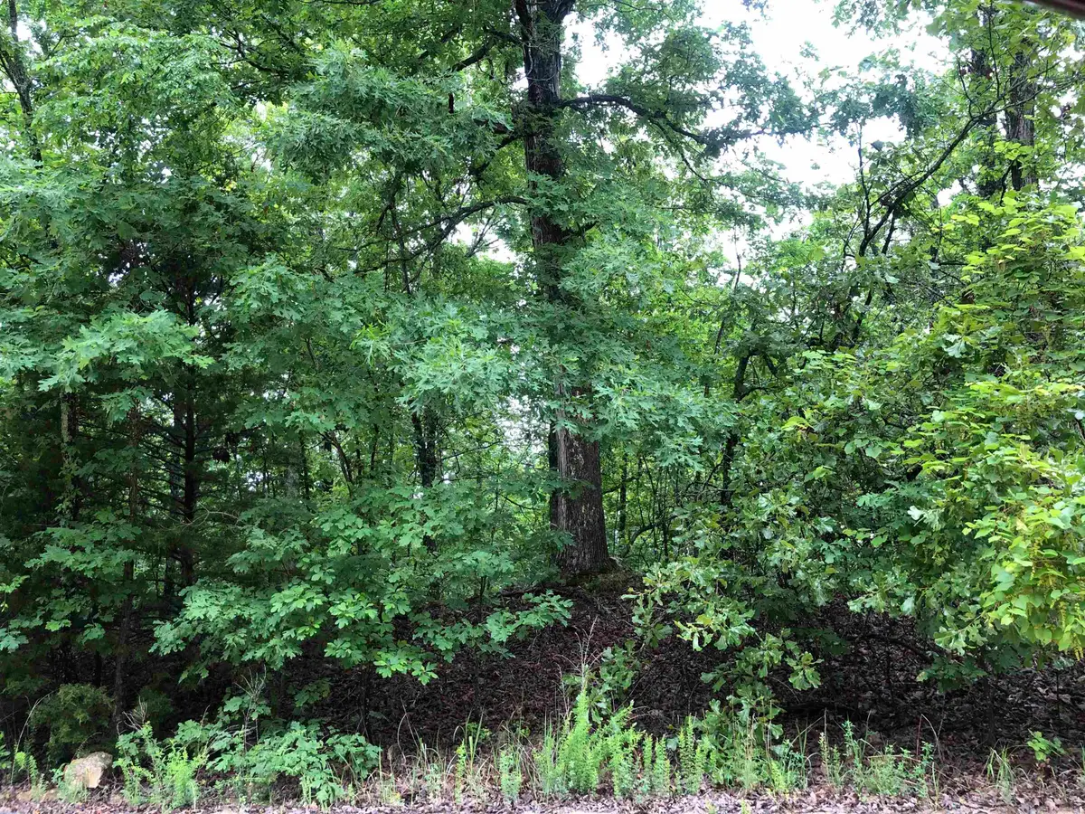 Goti Drive, Cherokee Village, AR 72529 - #1