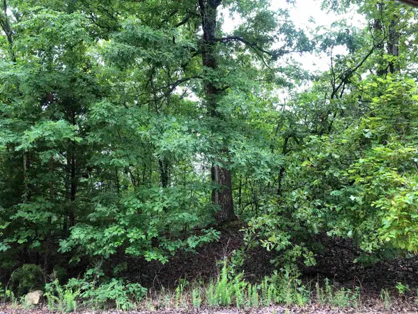 Goti Drive, Cherokee Village, AR 72529
