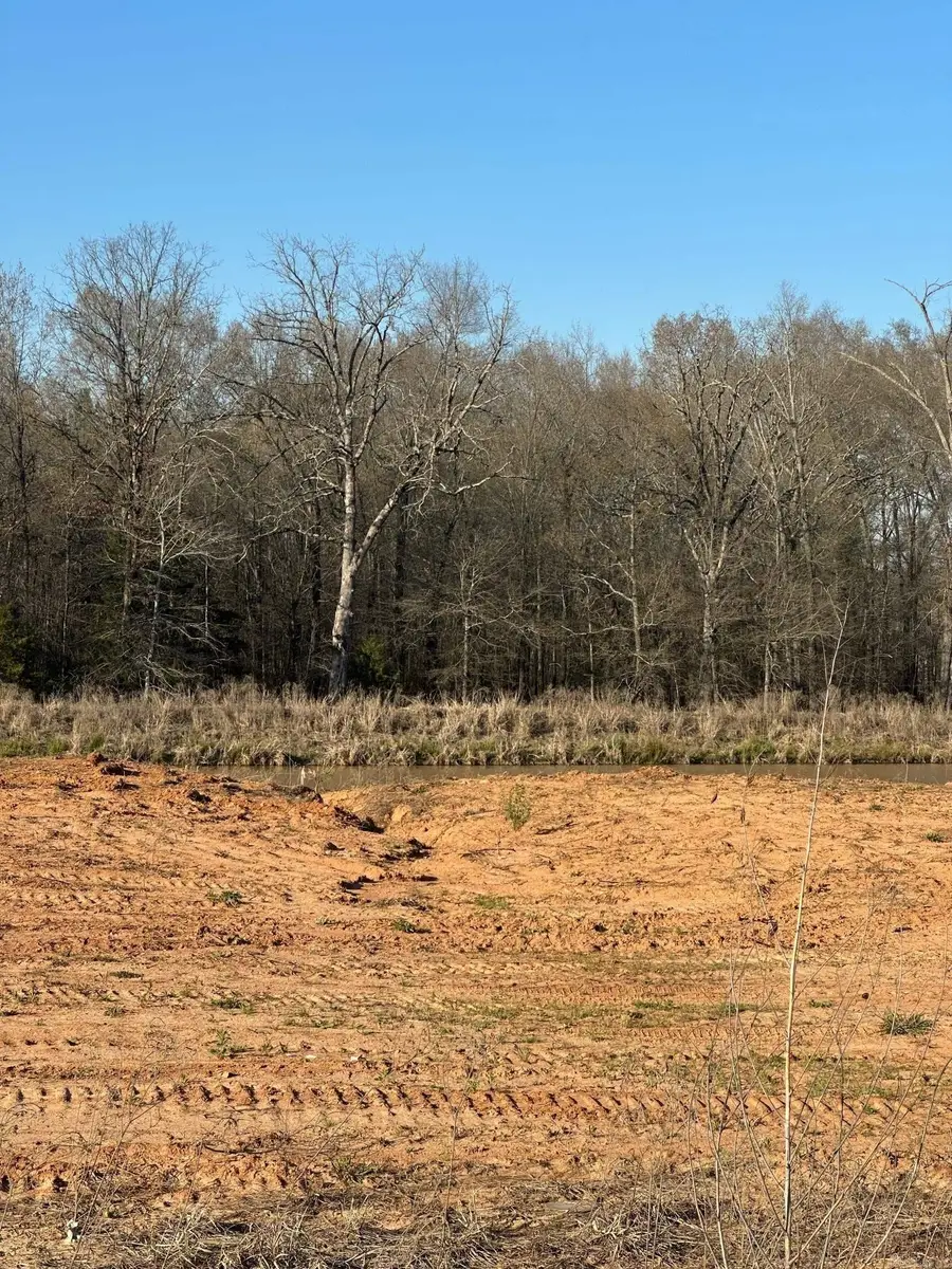505 Corondelet Lane, Maumelle, AR 72113 - #2