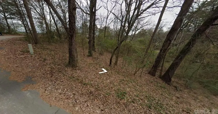 TBD Dickson Street, Heber Springs, AR 72543 - #2