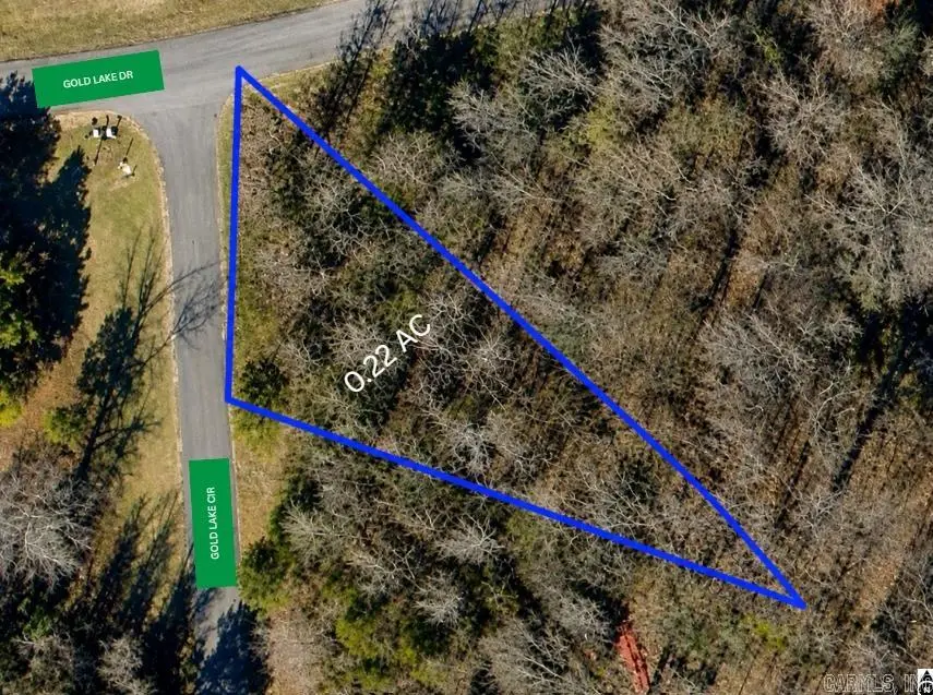 Lot 10 Gold Lake Circle, Conway, AR 72032 - #1