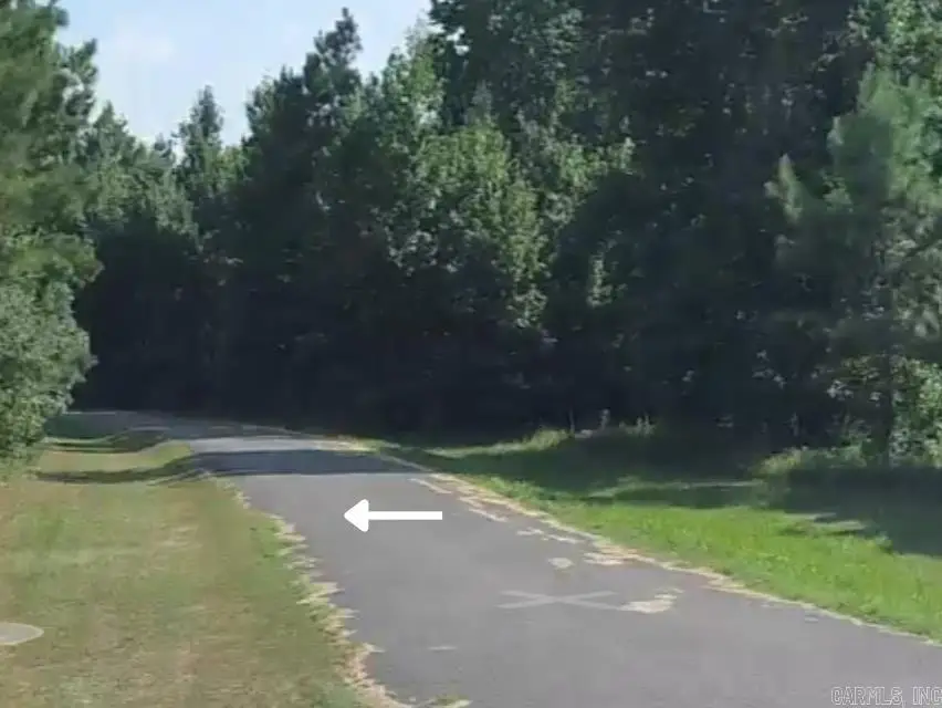 Lot 10 Gold Lake Circle, Conway, AR 72032 - #2