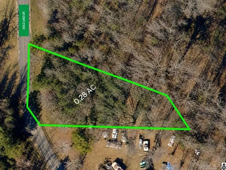 Lot 9 Gold Lake Drive, Conway, AR 72032 - #3