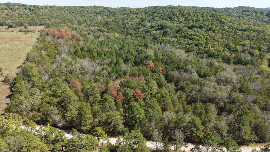 8A Lafferty Road, Mount Pleasant, AR 72561 - #2