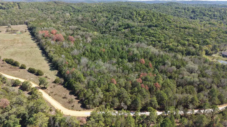 8A Lafferty Road, Mount Pleasant, AR 72561 - #3