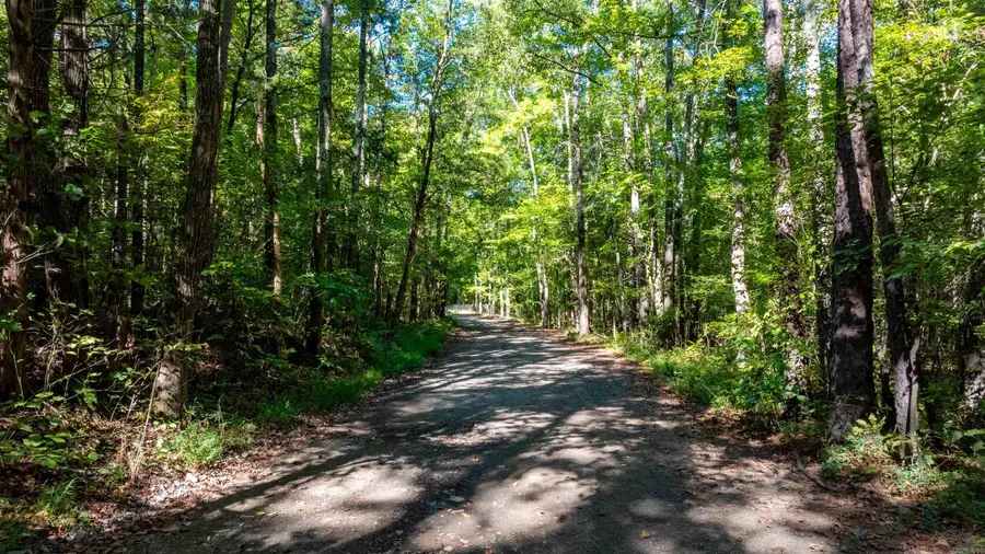 0 River Road, Shirley, AR 72153 - #3
