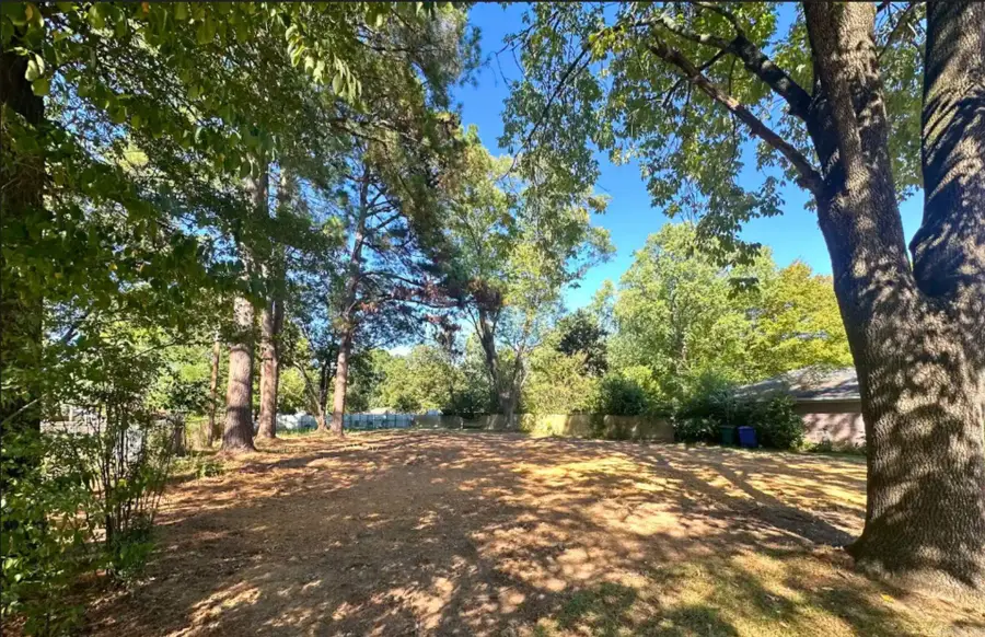 2226 Lee Ave, Conway, AR 72034 - #3