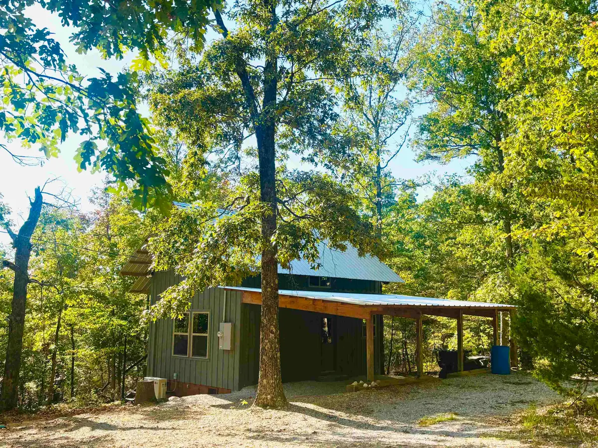 261 Mitchell Road, Mountain View, AR 72560 - #1