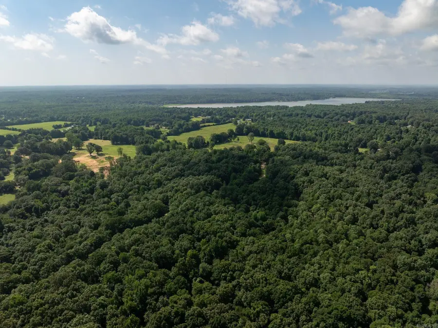 TBD Greene 324, Bono, AR 72416 - #3