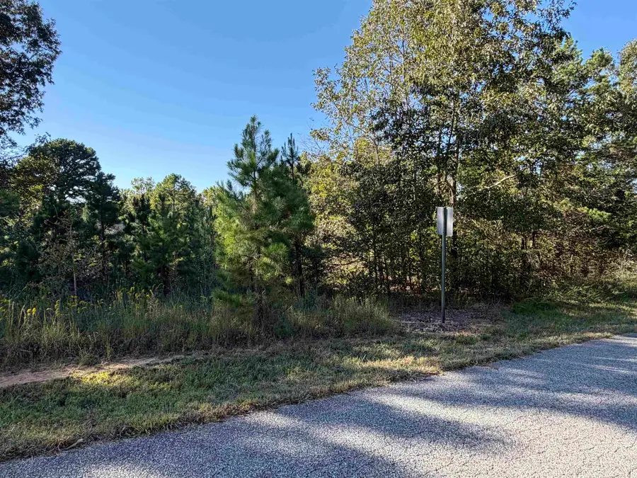 Lot 31 Plantation Circle, Melbourne, AR 72556 - #2