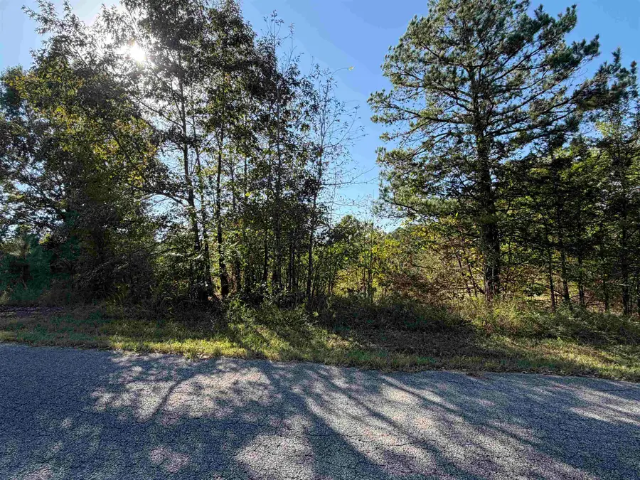 Lot 31 Plantation Circle, Melbourne, AR 72556 - #3