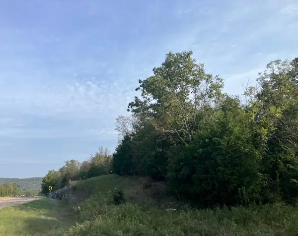 TBD Hwy 62/412, Hardy, AR 72542