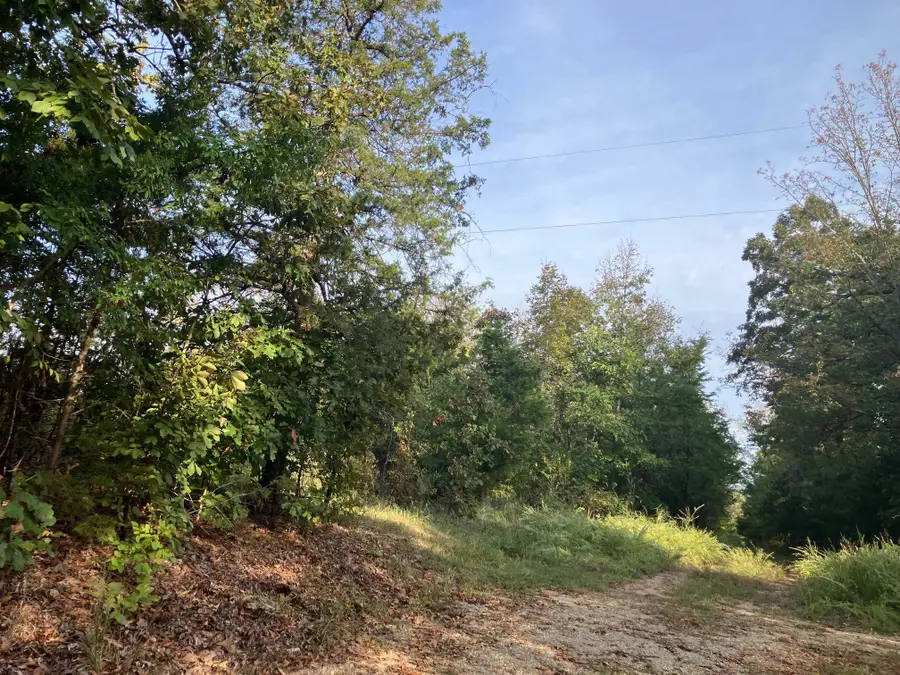 TBD Hwy 62/412, Hardy, AR 72542 - #3