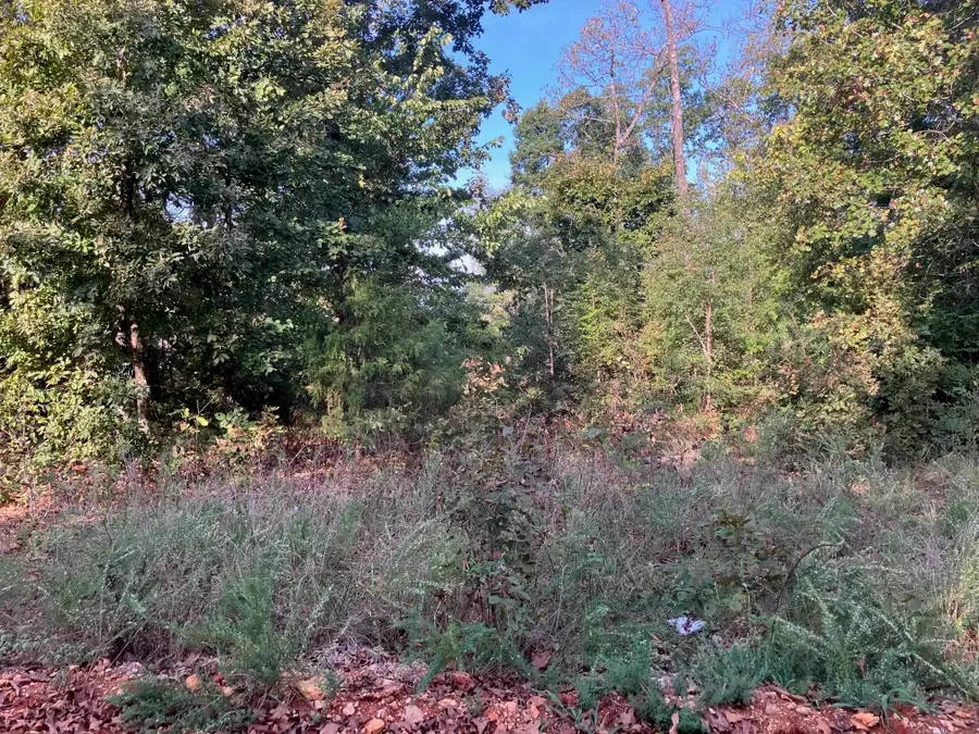 TBD Tucker Road, Hardy, AR 72542 - #3