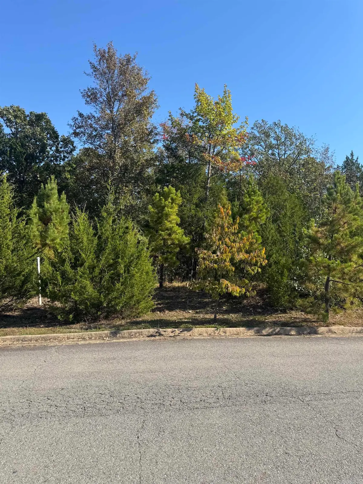 960 Timber Knoll Drive, Conway, AR 72034 - #1