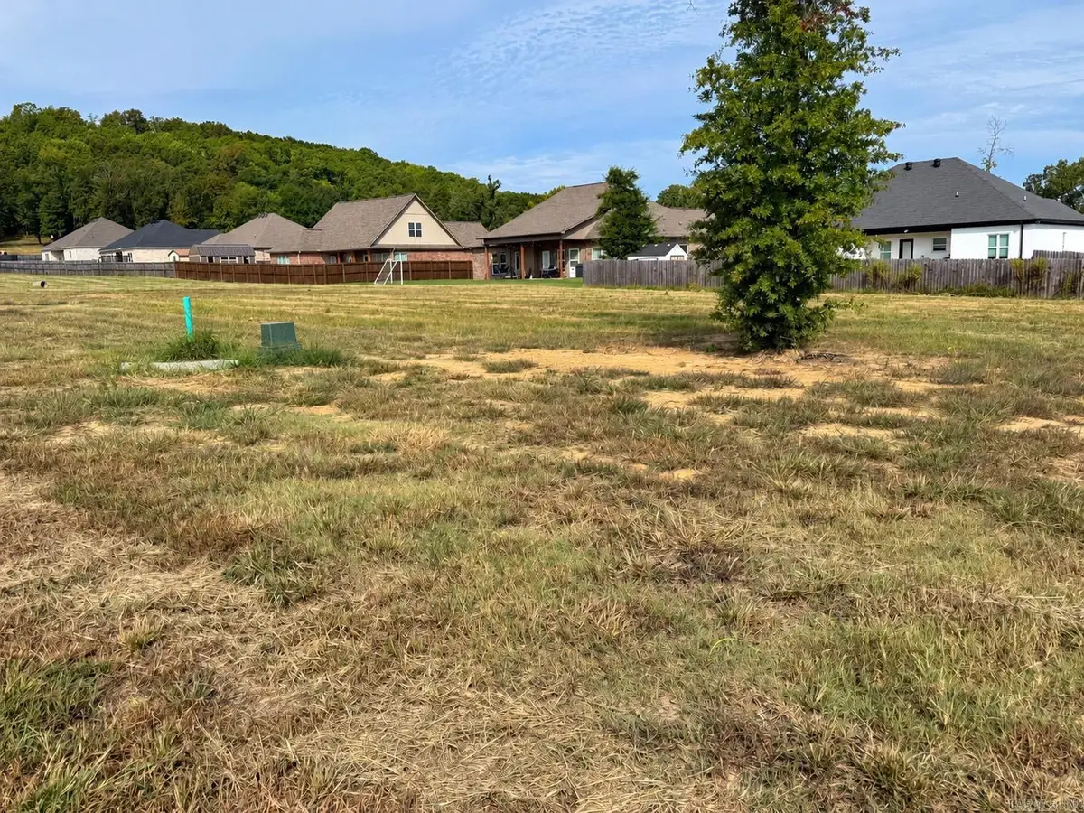 54 Wedgewood Drive, Greenbrier, AR 72058 - #1