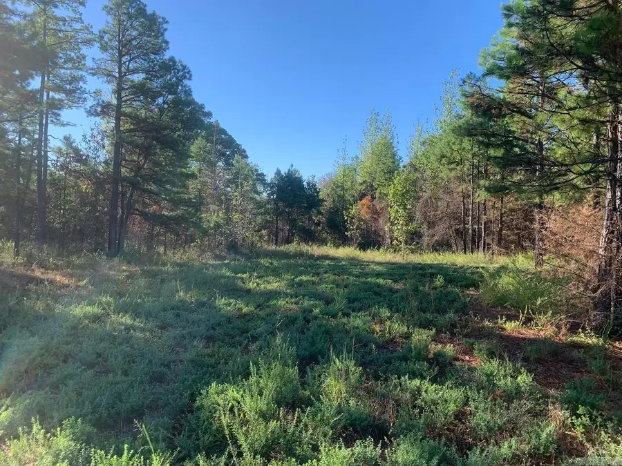 3200 River Mountain Road, Delaware, AR 72835 - #2