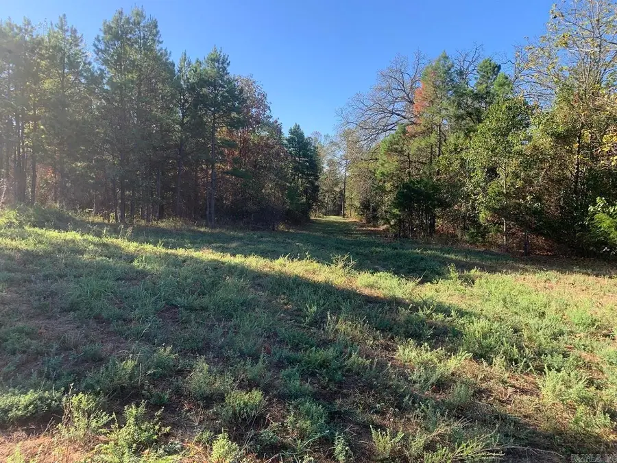 3200 River Mountain Road, Delaware, AR 72835 - #3