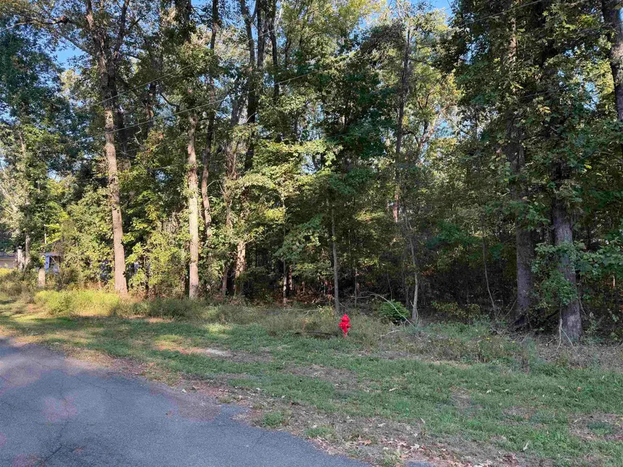 Lot 18 Sweetwater, Caroline, AR 73176 - #2