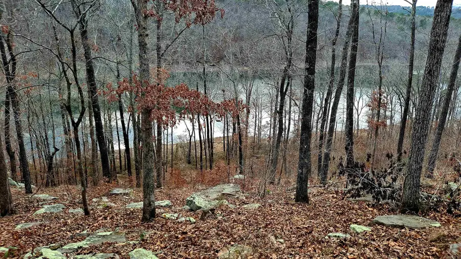 Lot 14/Block 6 Lynn Creek Dr., Fairfield Bay, AR 72088 - #2