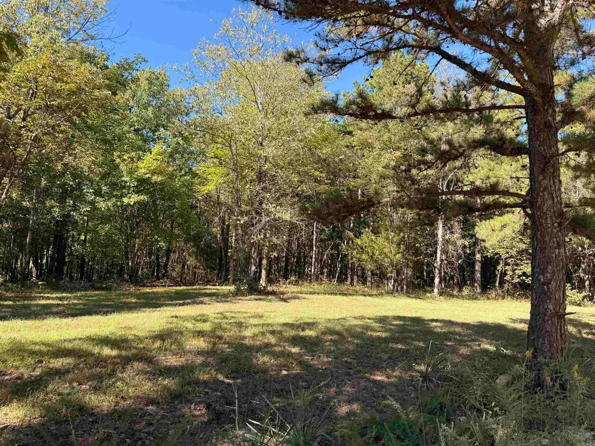 TBD Thomas Road, Clinton, AR 72031 - #1