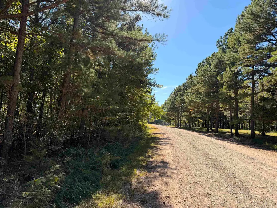 TBD Thomas Road, Clinton, AR 72031 - #2