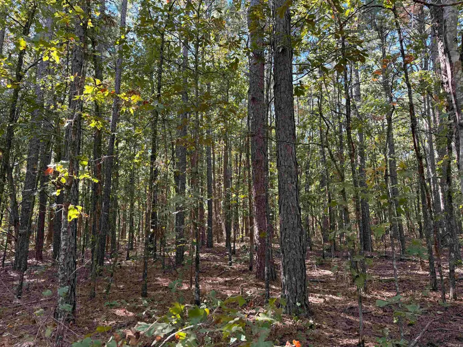 TBD Thomas Road, Clinton, AR 72031 - #3