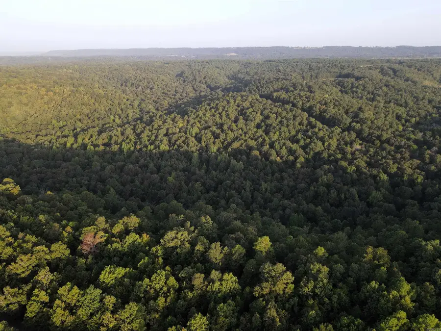 21 Evergreen Road, Bee Branch, AR 72013 - #2