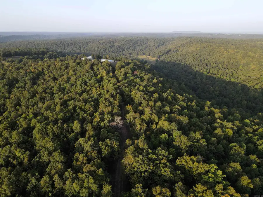 21 Evergreen Road, Bee Branch, AR 72013 - #3