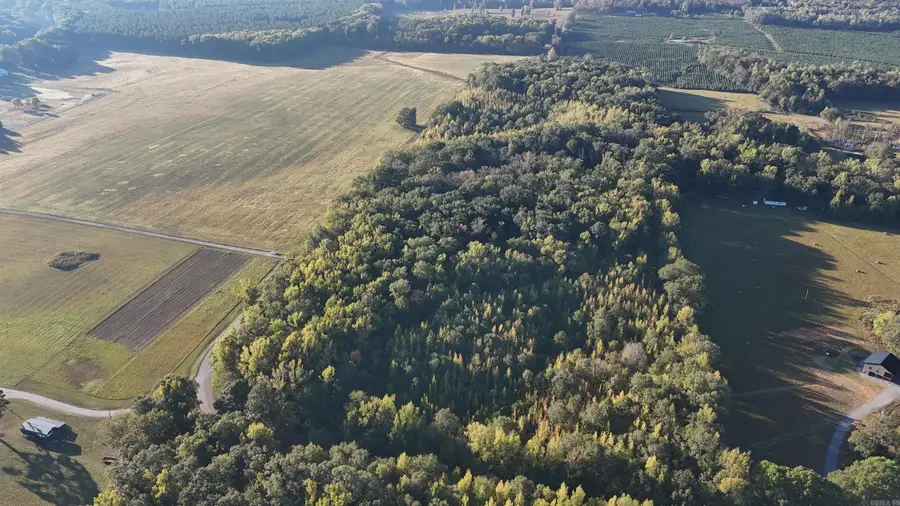000 Ramsey Landing Rd, Pangburn, AR 72121 - #2