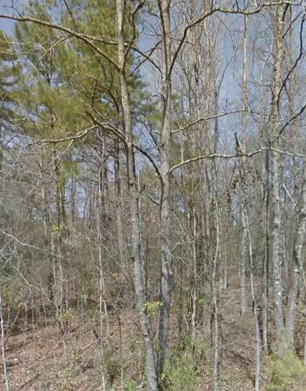 Lot 019 W Burnett Street, Pine Bluff, AR 71603