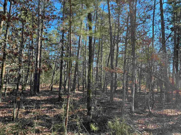 77 Pintuerero Way, Hot Springs Village, AR 71909