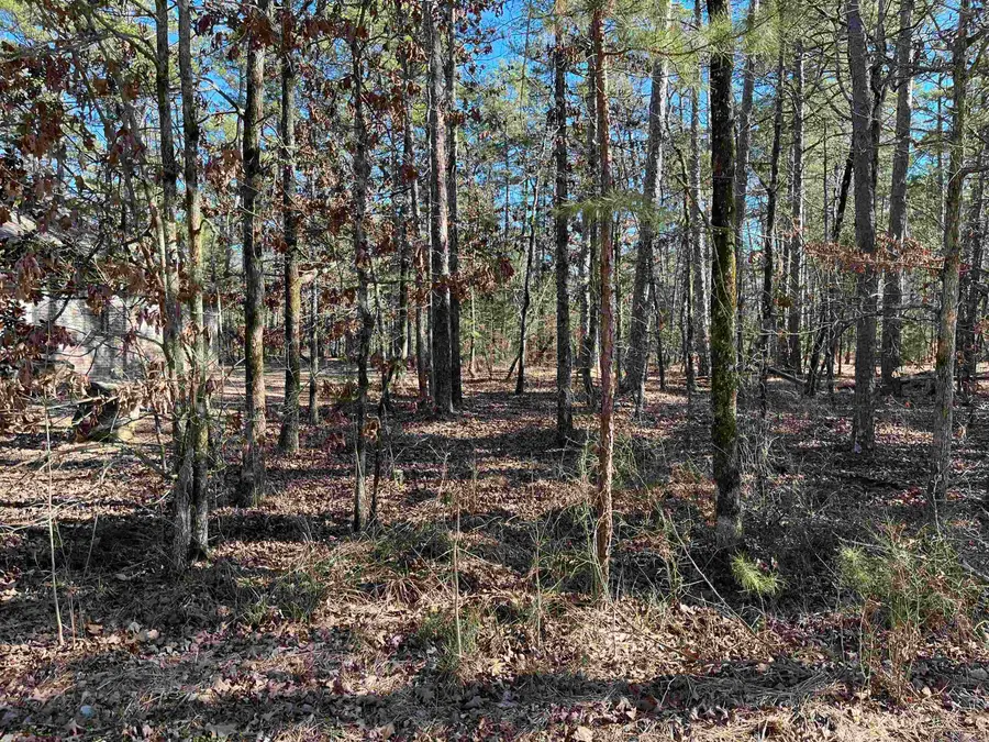 77 Pintuerero Way, Hot Springs Village, AR 71909 - #2