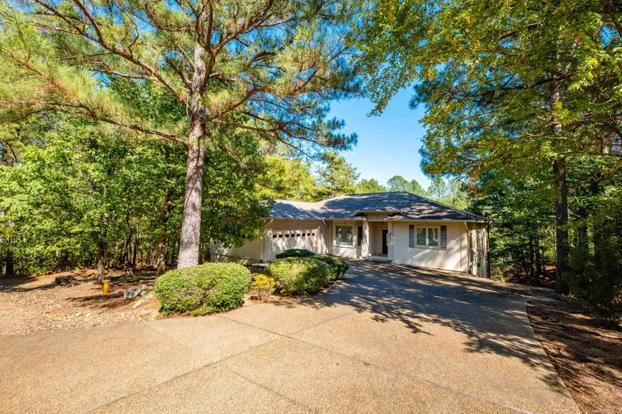 7 Pizarro Dr, Hot Springs Village, AR 71909 - #3