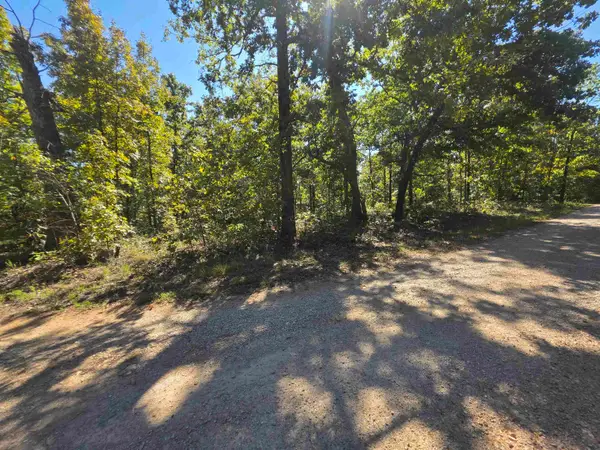 L-1 B-11 Eagle Pass, Ozark Acres, AR 72482