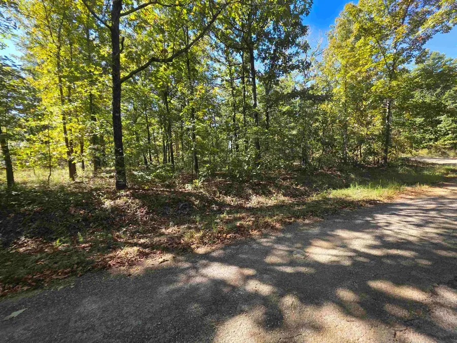 L-1 B-11 Eagle Pass, Ozark Acres, AR 72482 - #2